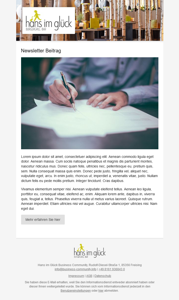 Beispielansicht Beitrag im Newsletter
